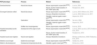 PTK7 Faces the Wnt in Development and Disease